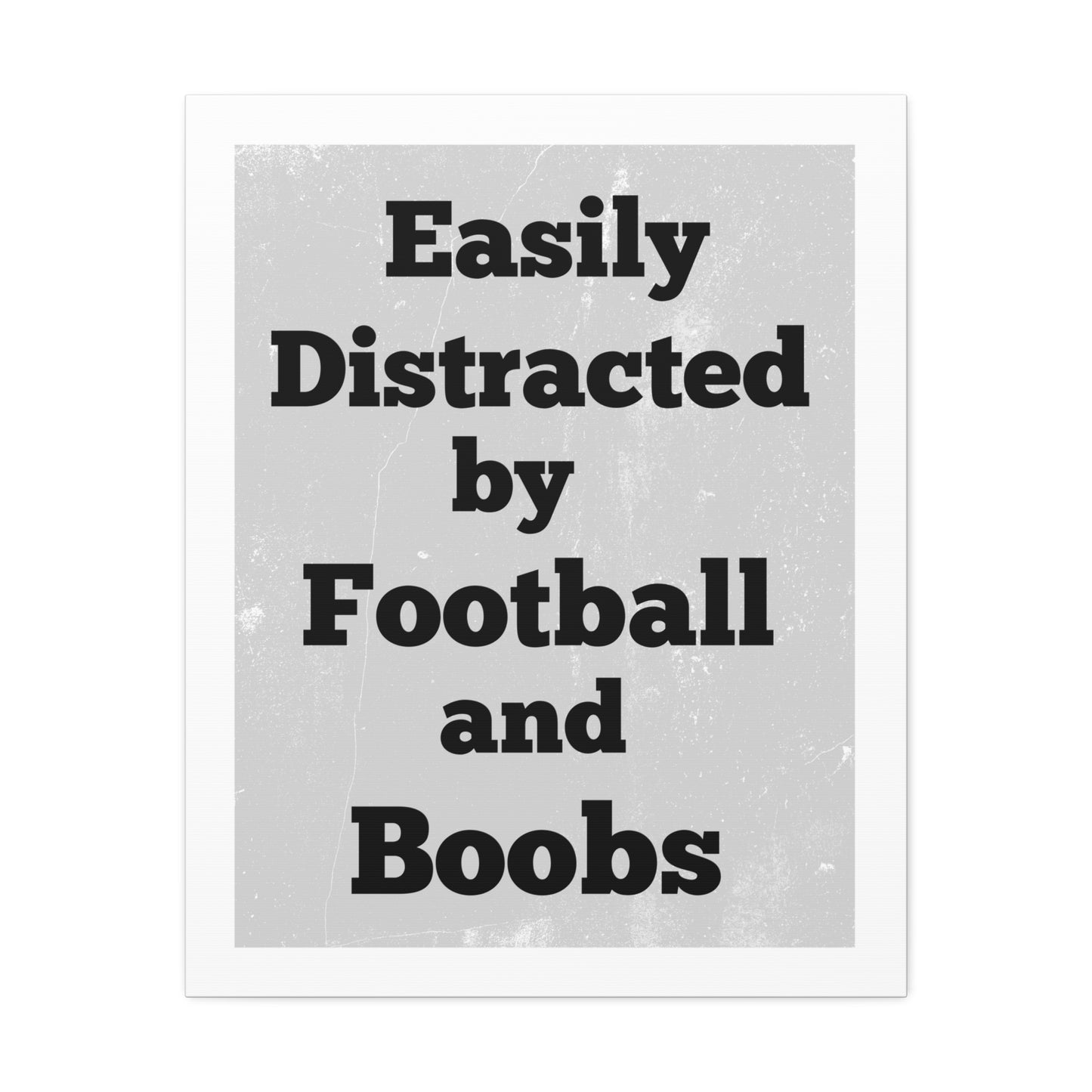 EASILY DISTRACTED BY FOOTBALL AND BOOBS