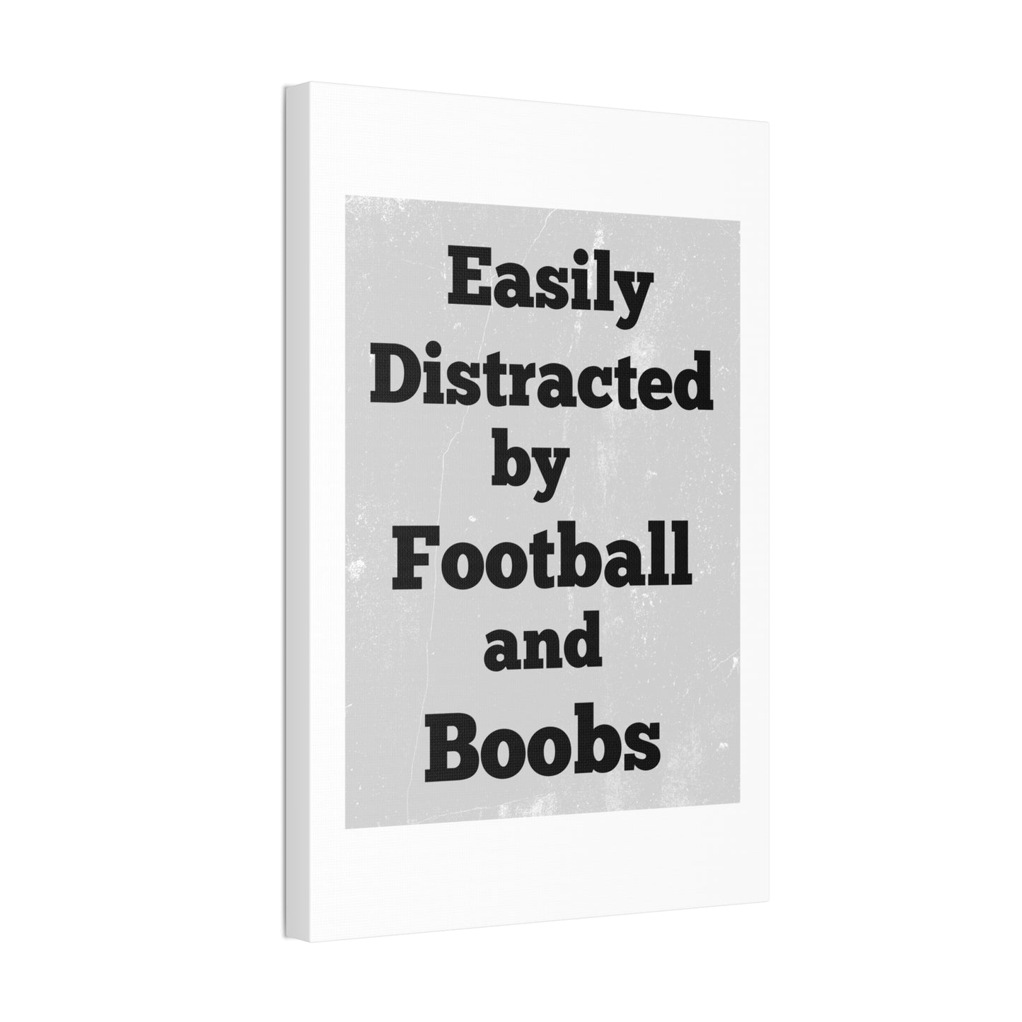 EASILY DISTRACTED BY FOOTBALL AND BOOBS