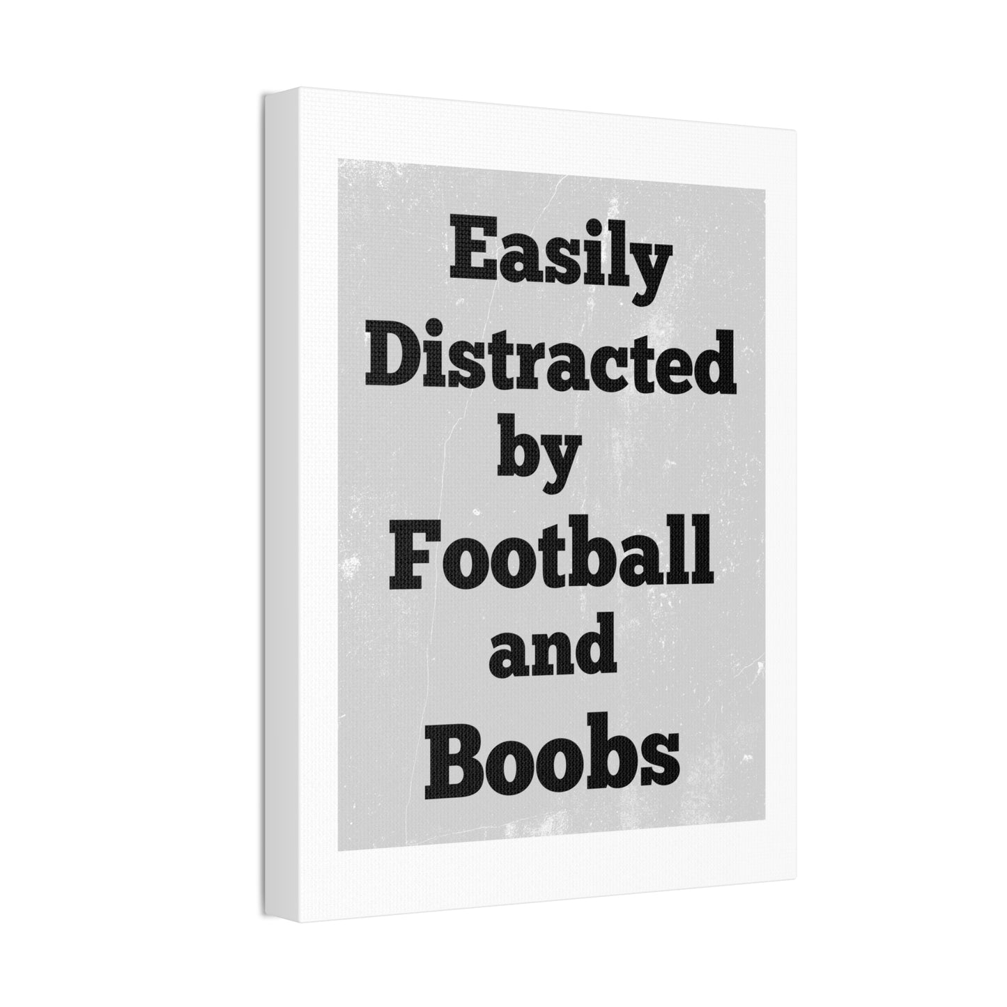 EASILY DISTRACTED BY FOOTBALL AND BOOBS