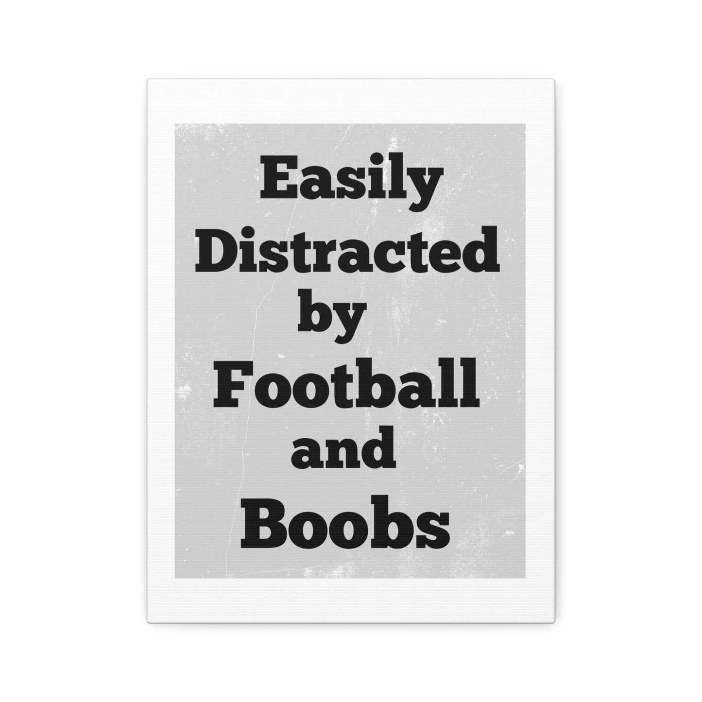 EASILY DISTRACTED BY FOOTBALL AND BOOBS