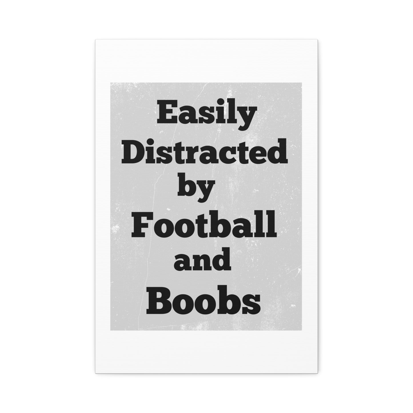 EASILY DISTRACTED BY FOOTBALL AND BOOBS