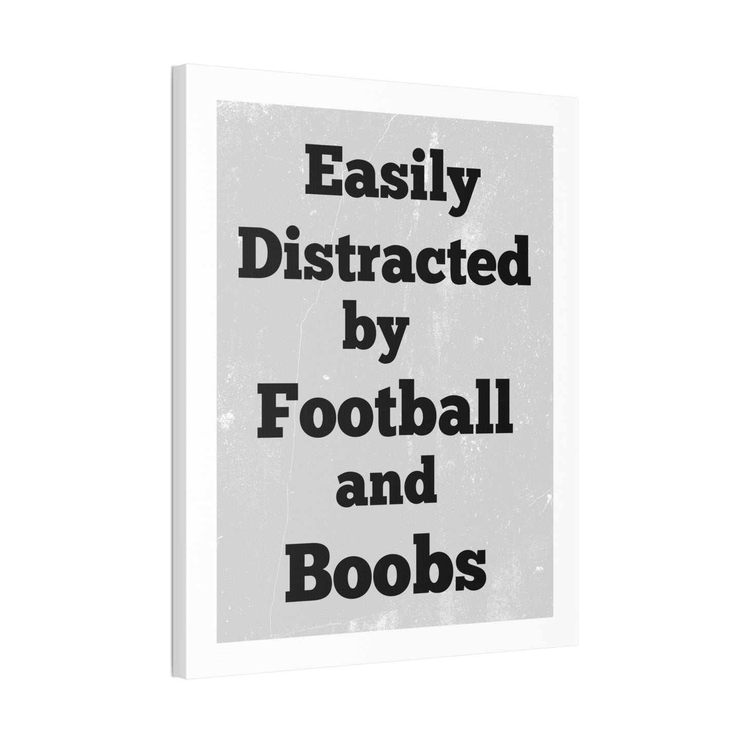 EASILY DISTRACTED BY FOOTBALL AND BOOBS